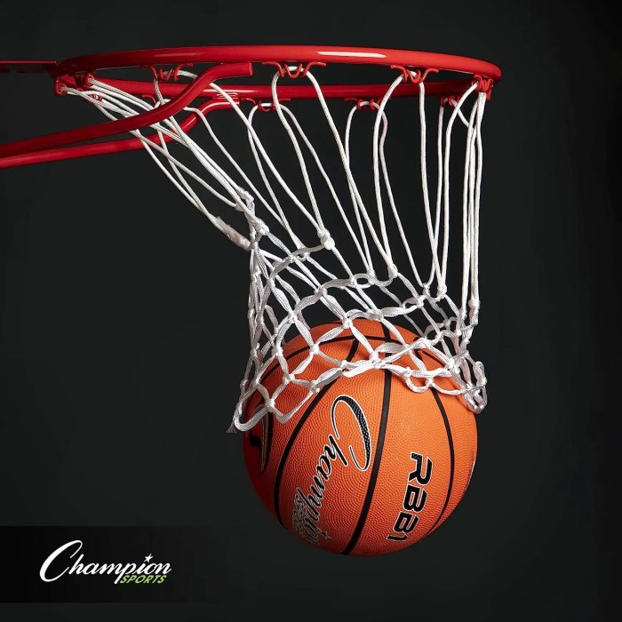 Champion sports basketball