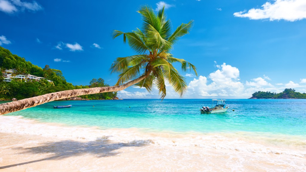 SeychellesBeautiful beach at Seychelles