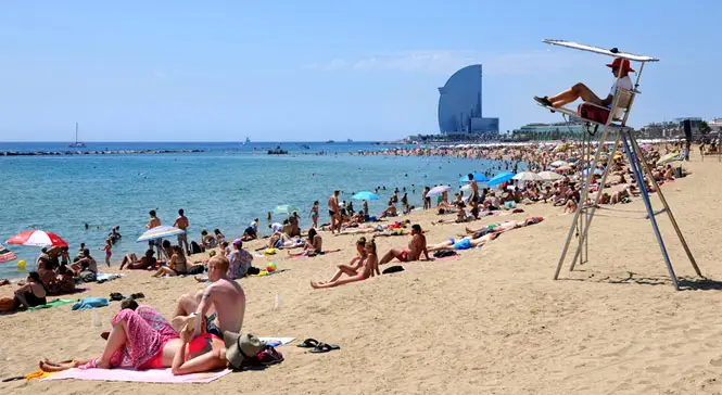 Barcelonta beach Sun, Sand, and Swaying Palms