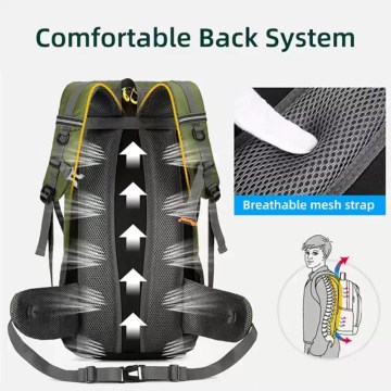 A man wearing the 50L tourist rucksack while hiking through a dense forest trail.
