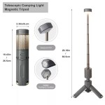 Telescopic camping light extended for a evening picnic.