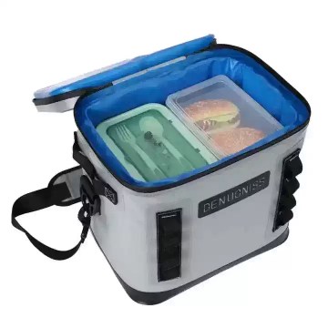Multiple bottles inside a cooler rucksack.