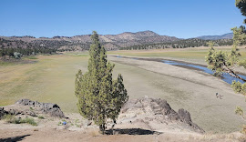 Scenic landscape view of a grassy field with sparse trees and a river running through it, against a backdrop of mountains under a clear blue sky.