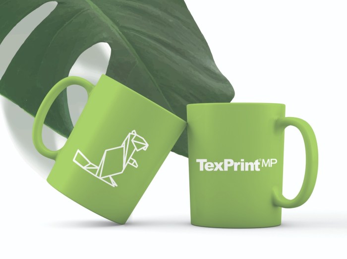 TexPrint R sublimation paper example printed on mug – best transfer quality in Pakistan