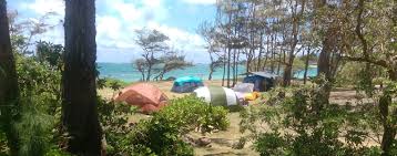 A scenic view of a campground with several colorful tents set among trees near a beach, showcasing a tranquil seaside camping experience.