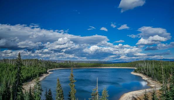 A scenic view of a tranquil lake surrounded by dense pine forests under a blue sky with fluffy clouds.
