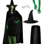 Women wicked witch cosplay costume set with accessories.
