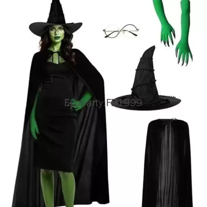 Women wicked witch cosplay costume set with accessories.