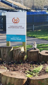 Abbey Wood camping guide showing green spaces near South East London with access to nearby campsites