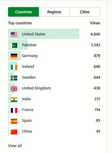 SEO agency in US ranking improvements for Pakistani businesses