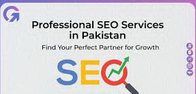 PROFESSIONAL SEO SERVICES