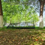 Interior view of the breathable tent showing the clear view of the outdoors.